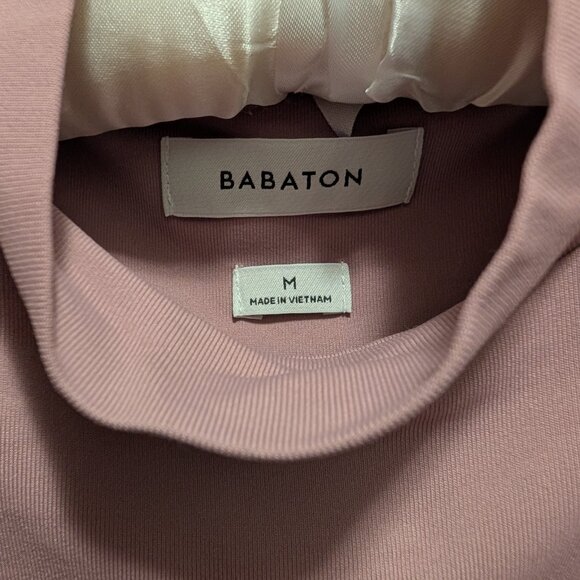 Aritzia Babaton Mock Neck Contour Dress - Picture 4 of 4